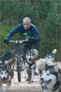 Dog Sled Team competing in the 25th Anniversary Siberian Husky Club of Great Britain Aviemore Sled Dog Rally 2008