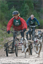 Dog Sled Team competing in the 25th Anniversary Siberian Husky Club of Great Britain Aviemore Sled Dog Rally 2008
