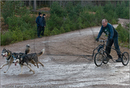 Dog Sled Team competing in the 25th Anniversary Siberian Husky Club of Great Britain Aviemore Sled Dog Rally 2008