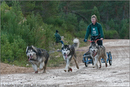 Dog Sled Team competing in the 25th Anniversary Siberian Husky Club of Great Britain Aviemore Sled Dog Rally 2008