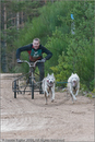 Dog Sled Team competing in the 25th Anniversary Siberian Husky Club of Great Britain Aviemore Sled Dog Rally 2008