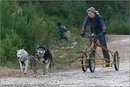 Dog Sled Team competing in the 25th Anniversary Siberian Husky Club of Great Britain Aviemore Sled Dog Rally 2008