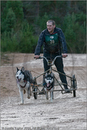 Dog Sled Team competing in the 25th Anniversary Siberian Husky Club of Great Britain Aviemore Sled Dog Rally 2008