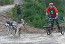 Dog Sled Team competing in the 25th Anniversary Siberian Husky Club of Great Britain Aviemore Sled Dog Rally 2008