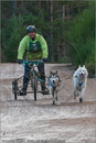 Dog Sled Team competing in the 25th Anniversary Siberian Husky Club of Great Britain Aviemore Sled Dog Rally 2008