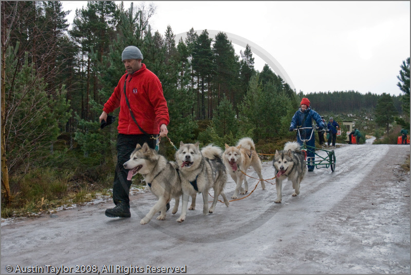 Mushers and dog teams at the 25th Anniversary Siberian Husky Club of Great Britain Aviemore Sled Dog Rally 2008