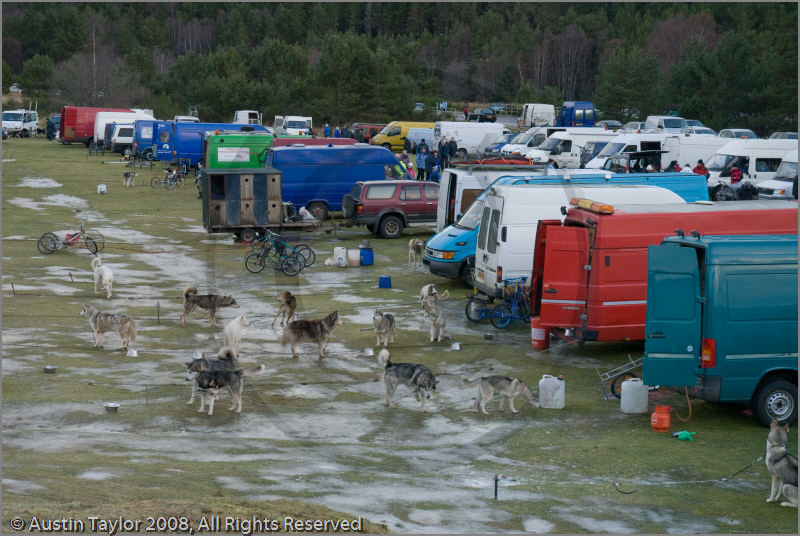 Huskies, mushers and vans at the 25th Anniversary Siberian Husky Club of Great Britain Aviemore Sled Dog Rally 2008