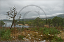 Loch Morlich and the Cairngorm mountains, Highland