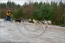 Mushers and dog teams at the 25th Anniversary Siberian Husky Club of Great Britain Aviemore Sled Dog Rally 2008