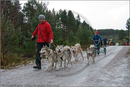 Mushers and dog teams at the 25th Anniversary Siberian Husky Club of Great Britain Aviemore Sled Dog Rally 2008