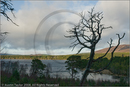 Loch Morlich, Aviemore, Highland