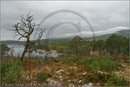 Loch Morlich and the Cairngorm mountains, Highland