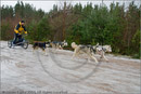 Mushers and dog teams at the 25th Anniversary Siberian Husky Club of Great Britain Aviemore Sled Dog Rally 2008