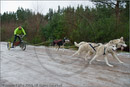 Mushers and dog teams at the 25th Anniversary Siberian Husky Club of Great Britain Aviemore Sled Dog Rally 2008