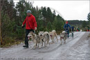 Mushers and dog teams at the 25th Anniversary Siberian Husky Club of Great Britain Aviemore Sled Dog Rally 2008