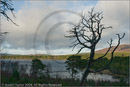 Loch Morlich, Aviemore, Highland