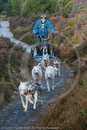 Class B - Racing Team competing in the Siberian Husky Club of GB Sled Dog Rally 2009, Glenmore Forest Park, Aviemore, Inverness-shire