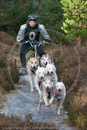 Husky Dog Racing Team