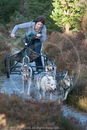 Class C - Racing Team competing in the Siberian Husky Club of GB Sled Dog Rally 2009, Glenmore Forest Park, Aviemore, Inverness-shire