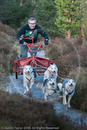 Class C - Racing Team competing in the Siberian Husky Club of GB Sled Dog Rally 2009, Glenmore Forest Park, Aviemore, Inverness-shire