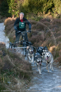 Class C - Racing Team competing in the Siberian Husky Club of GB Sled Dog Rally 2009, Glenmore Forest Park, Aviemore, Inverness-shire