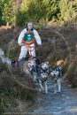 Class C - Racing Team competing in the Siberian Husky Club of GB Sled Dog Rally 2009, Glenmore Forest Park, Aviemore, Inverness-shire