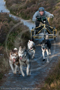 Class C - Racing Team competing in the Siberian Husky Club of GB Sled Dog Rally 2009, Glenmore Forest Park, Aviemore, Inverness-shire