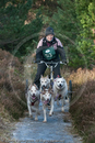 Husky Dog Racing Team