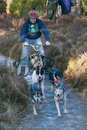 Class C - Racing Team competing in the Siberian Husky Club of GB Sled Dog Rally 2009, Glenmore Forest Park, Aviemore, Inverness-shire