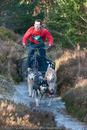 Class C - Racing Team competing in the Siberian Husky Club of GB Sled Dog Rally 2009, Glenmore Forest Park, Aviemore, Inverness-shire
