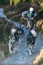 Husky Dog Racing Team