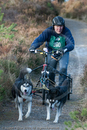 Class D - Racing Team competing in the Siberian Husky Club of GB Sled Dog Rally 2009, Glenmore Forest Park, Aviemore, Inverness-shire