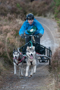 Class D - Racing Team competing in the Siberian Husky Club of GB Sled Dog Rally 2009, Glenmore Forest Park, Aviemore, Inverness-shire