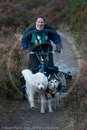 Class D - Racing Team competing in the Siberian Husky Club of GB Sled Dog Rally 2009, Glenmore Forest Park, Aviemore, Inverness-shire