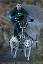 Class D - Racing Team competing in the Siberian Husky Club of GB Sled Dog Rally 2009, Glenmore Forest Park, Aviemore, Inverness-shire
