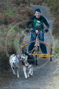 Class D - Racing Team competing in the Siberian Husky Club of GB Sled Dog Rally 2009, Glenmore Forest Park, Aviemore, Inverness-shire