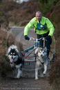 Class D2 - Racing Team competing in the Siberian Husky Club of GB Sled Dog Rally 2009, Glenmore Forest Park, Aviemore, Inverness-shire