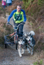 Class D2 - Racing Team competing in the Siberian Husky Club of GB Sled Dog Rally 2009, Glenmore Forest Park, Aviemore, Inverness-shire