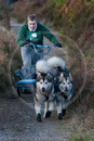 Class D2 - Racing Team competing in the Siberian Husky Club of GB Sled Dog Rally 2009, Glenmore Forest Park, Aviemore, Inverness-shire