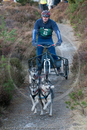 Class E - Racing Team competing in the Siberian Husky Club of GB Sled Dog Rally 2009, Glenmore Forest Park, Aviemore, Inverness-shire