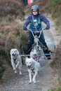 Class E - Racing Team competing in the Siberian Husky Club of GB Sled Dog Rally 2009, Glenmore Forest Park, Aviemore, Inverness-shire