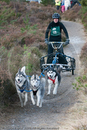 Class E - Racing Team competing in the Siberian Husky Club of GB Sled Dog Rally 2009, Glenmore Forest Park, Aviemore, Inverness-shire