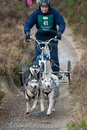 Class E - Racing Team competing in the Siberian Husky Club of GB Sled Dog Rally 2009, Glenmore Forest Park, Aviemore, Inverness-shire