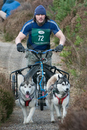 Aviemore Sled Dog Rally finish line