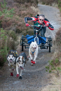 Class E - Racing Team competing in the Siberian Husky Club of GB Sled Dog Rally 2009, Glenmore Forest Park, Aviemore, Inverness-shire