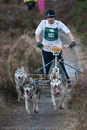 Class E - Racing Team competing in the Siberian Husky Club of GB Sled Dog Rally 2009, Glenmore Forest Park, Aviemore, Inverness-shire