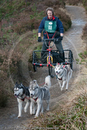Class E - Racing Team competing in the Siberian Husky Club of GB Sled Dog Rally 2009, Glenmore Forest Park, Aviemore, Inverness-shire
