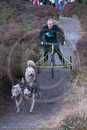 Class E - Racing Team competing in the Siberian Husky Club of GB Sled Dog Rally 2009, Glenmore Forest Park, Aviemore, Inverness-shire