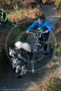 Class E2 - Racing Team competing in the Siberian Husky Club of GB Sled Dog Rally 2009, Glenmore Forest Park, Aviemore, Inverness-shire
