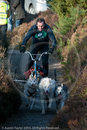 Class E2 - Racing Team competing in the Siberian Husky Club of GB Sled Dog Rally 2009, Glenmore Forest Park, Aviemore, Inverness-shire